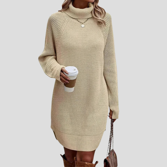 Women's Turtleneck Knit Dress with Long Sleeves